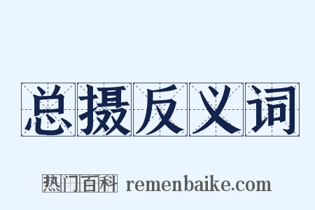 总摄反义词是什么意思的图片